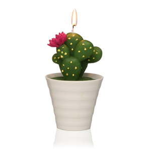 Świeczka dekoracyjna w kształcie kaktusa Versa Cactus Paol
