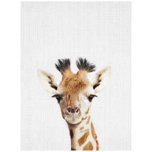 Plakat Blue-Shaker Baby Animals Giraffe, 30x40 cm