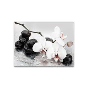 Obraz Styler Pastel Orchids, 100x70 cm