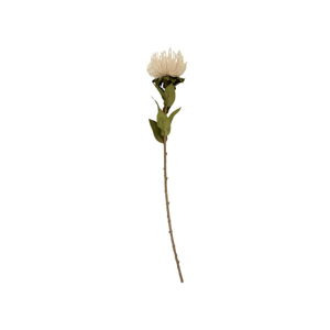 Sztuczny kwiat (wysokość 60 cm) Protea – PT LIVING