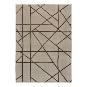 Jasnobrązowy dywan 120x170 cm Lux – Universal
