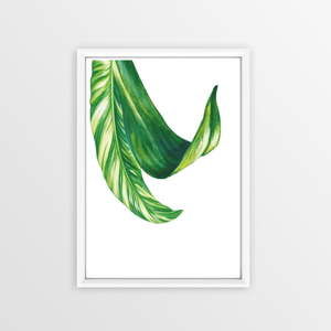Obraz Piacenza Art Bannana Leafy, 30x20 cm