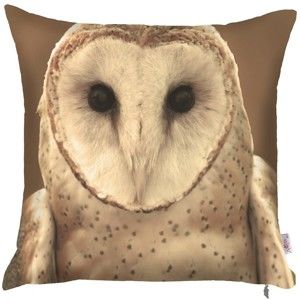 Poszewka na poduszkę Apolena Owl, 43x43 cm