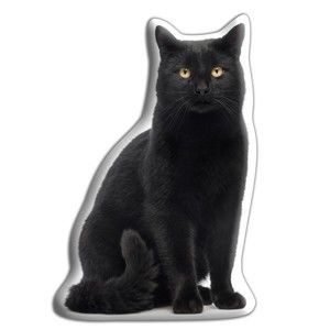 Poduszeczka Adorable Cushions Czarny kot