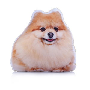 Poduszka z nadrukiem Adorable Cushions Midi Pomeranian