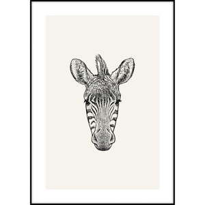 Plakat Imagioo Zebra Ilu, 40x30 cm