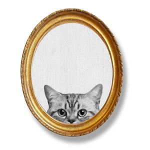 Owalny obraz Really Nice Things Cat, 40x50 cm
