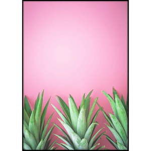 Plakat Imagioo Three Pineapples, 40x30 cm