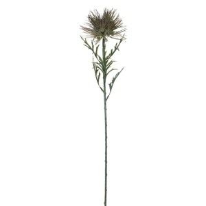 Sztuczny kwiat Protea Ego Dekor, wys. 71 cm