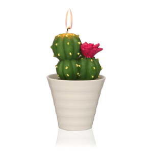 Świeczka dekoracyjna w kształcie kaktusa Versa Cactus Fila