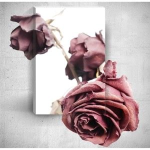 Obraz 3D Mosticx Old Roses, 40x60 cm