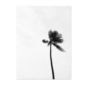 Plakat HF Living Botanic Palms, 30x40 cm