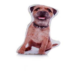 Poduszka z nadrukiem Adorable Cushions Midi Border Terrier