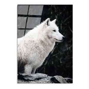 Szklany obraz 70x100 cm White Wolf – Wallity