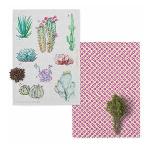 Zestaw 2 bawełnianych ścierek kuchennych Happy Friday Basic Cactus, 70x50 cm