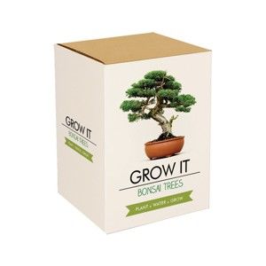 Zestaw do uprawy roślin z ziarnami bonsai Gift Republic Bonsai Trees