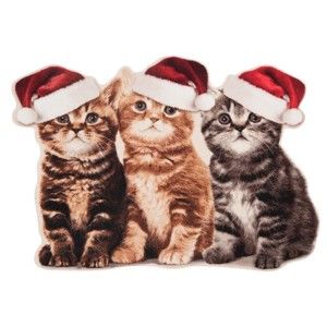 Wycieraczka Hanse Home Christmas Cats, 45x64 cm
