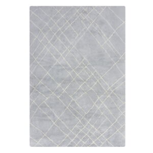 Jasnoszary dywan odpowiedni do prania 120x170 cm Alisha – Flair Rugs