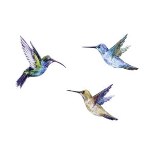 Zestaw zakładek do książki Thinking gifts Hummingbird