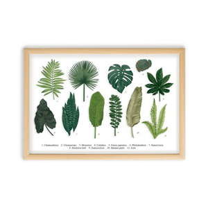 Obraz w ramie z drewna sosnowego Surdic Leafes Guide, 50x70 cm