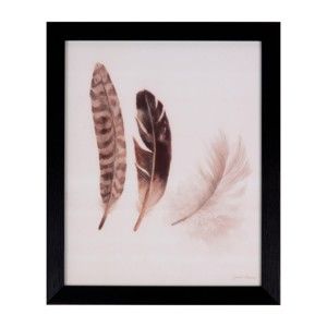Obraz sømcasa Feathers, 25x30 cm