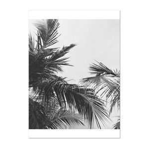Plakat HF Living Botanic Palm, 50x70 cm