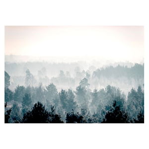 Wielkoformatowa tapeta Bimago Winter Forest 400x280 cm