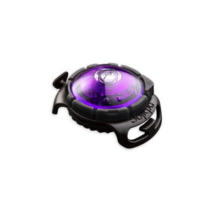 Oświetlenie LED obroży Purple - Orbiloc