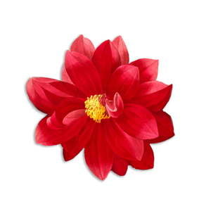 Poduszka dekoracyjna z włókien juty Madre Selva Red Flower