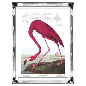 Obraz ścienny JohnsonStyle The Flamingo, 71x91 cm