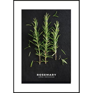 Plakat w ramie 50x70 cm Rosemary – Styler