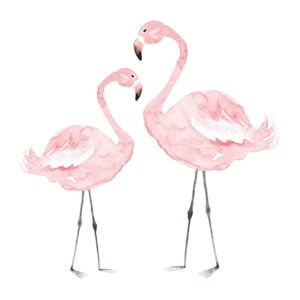Naklejka ścienna Dekornik Flamingos, 55x55 cm