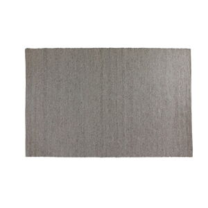 Szary dywan wełniany 340x240 cm Auckland - Rowico