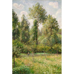 Reprodukcja obrazu Camille Pissarro - Poplars Éragny, 60x80 cm