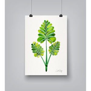 Plakat Americanflat Leaf Trifecta by Cat Coquillette, 30x42 cm