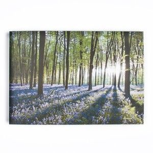 Obraz Graham & Brown Bluebell Landscape, 100x70 cm