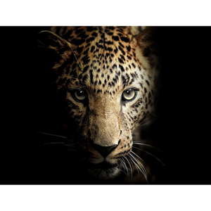 Obraz Styler Leopard, 100x75 cm
