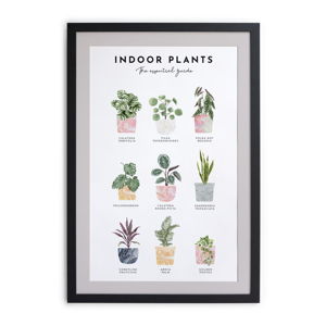 Obraz w ramie Really Nice Things Indoor Plants, 30x40 cm