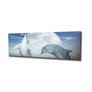 Obraz na płótnie Dolphins, 80x30 cm