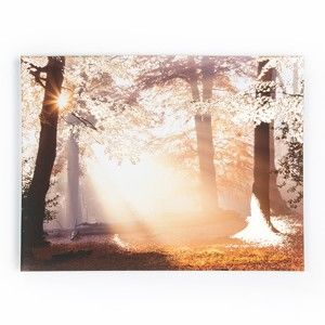Obraz Graham & Brown Metallic Forest, 80x60 cm