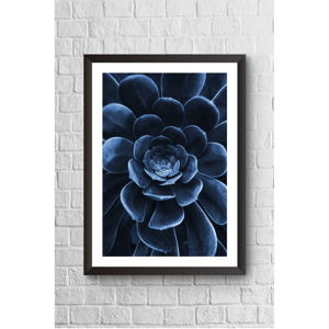Obraz w ramie Piacenza Art Blue Flower Black Frame, 23x33 cm