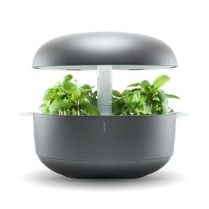 Szary inteligentny ogródek domowy Plantui 6 Smart Garden Grey