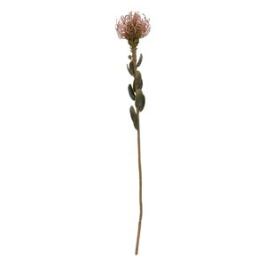 Sztuczny kwiat (wysokość 60 cm) Protea – PT LIVING