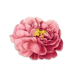 Poduszka dekoracyjna z włókien juty Madre Selva Pink Flower