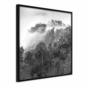 Plakat w ramie Artgeist Foggy Forest, 20x20 cm