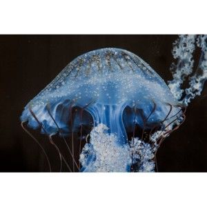 Ręcznie malowany obraz w ramie z drewna sosnowego Mauro Ferretti Medusa Blue, 80x120 cm