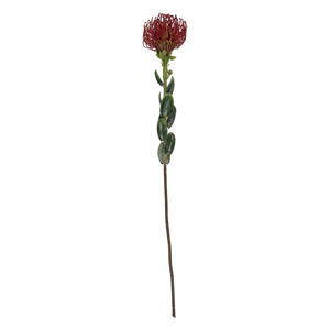 Sztuczny kwiat (wysokość 73 cm) Protea – PT LIVING