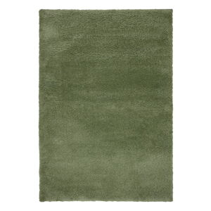 Zielony dywan 120x170 cm – Flair Rugs