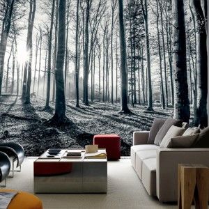 Tapeta wielkoformatowa Głęboki las, 366x254 cm