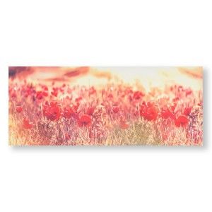Obraz Graham & Brown Peaceful Poppy Fields, 100x40 cm